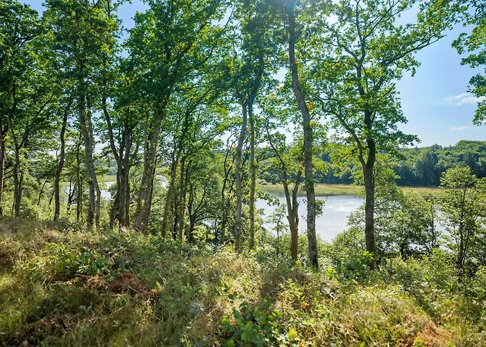 Casa de Férias 3 Bedroom Cozy In *